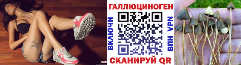 Псилоцибиновые грибы Magic Shrooms Цоци-Юрт
