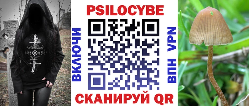 Галлюциногенные грибы мухоморы  дарк нет какой сайт  Цоци-Юрт 