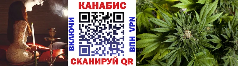 ОМГ ОМГ как войти  где найти   Цоци-Юрт  Каннабис White Widow 
